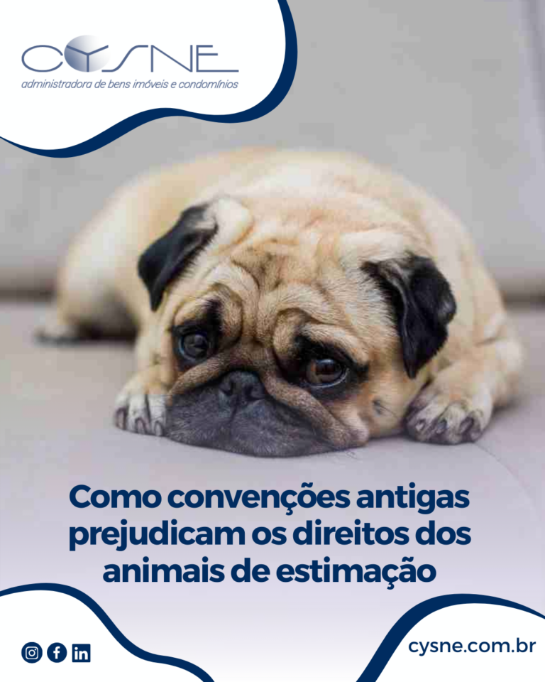 Animais de Estimação